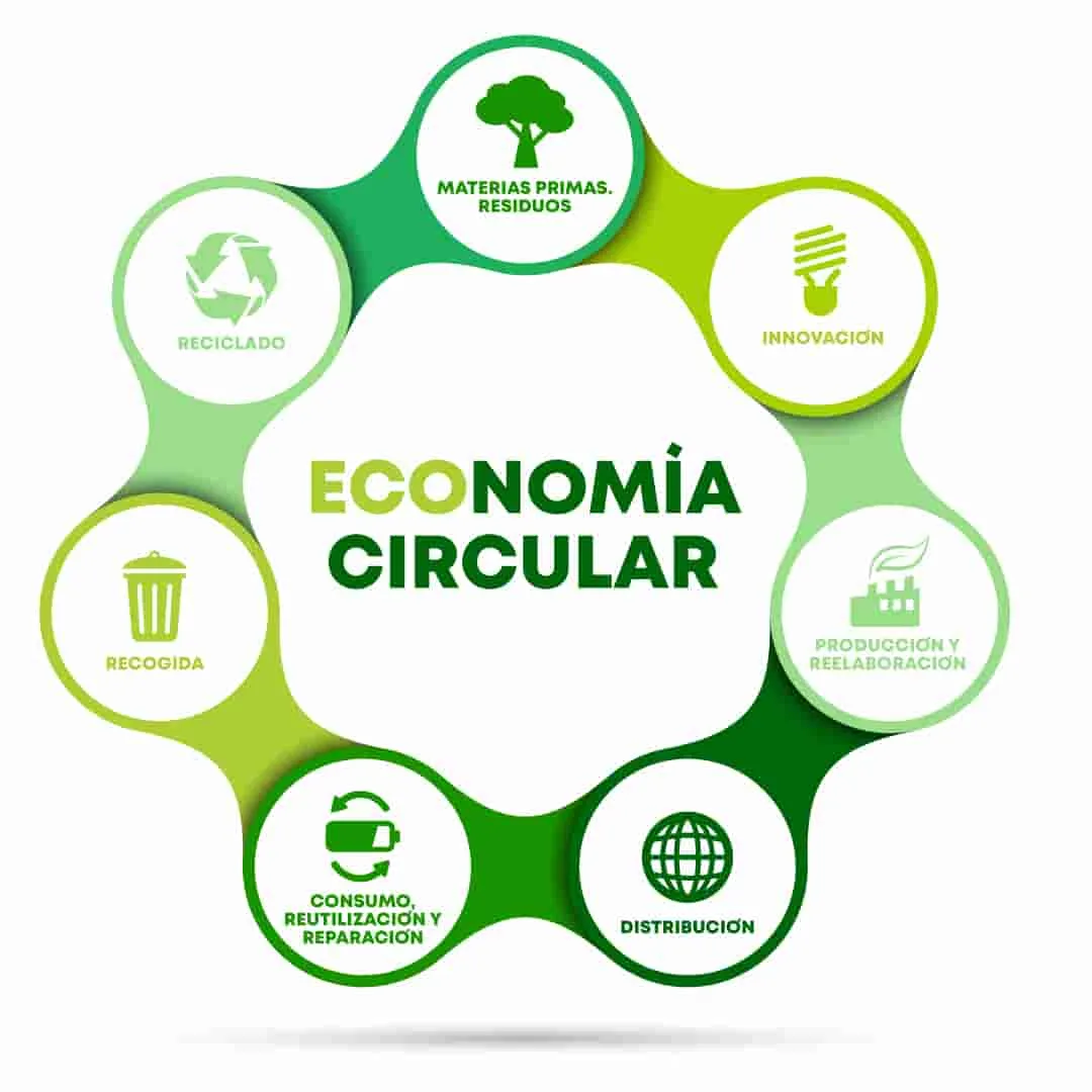 El impacto de la economía circular en la sostenibilidad empresarial.