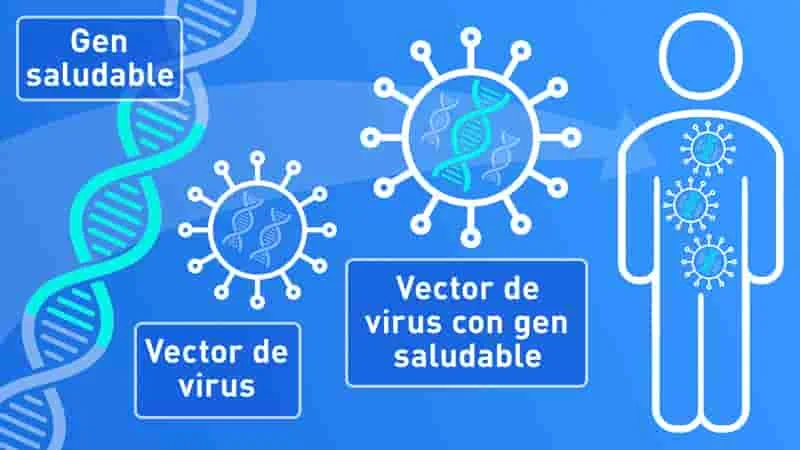 La revolución de la terapia génica y su impacto en el tratamiento de enfermedades genéticas.