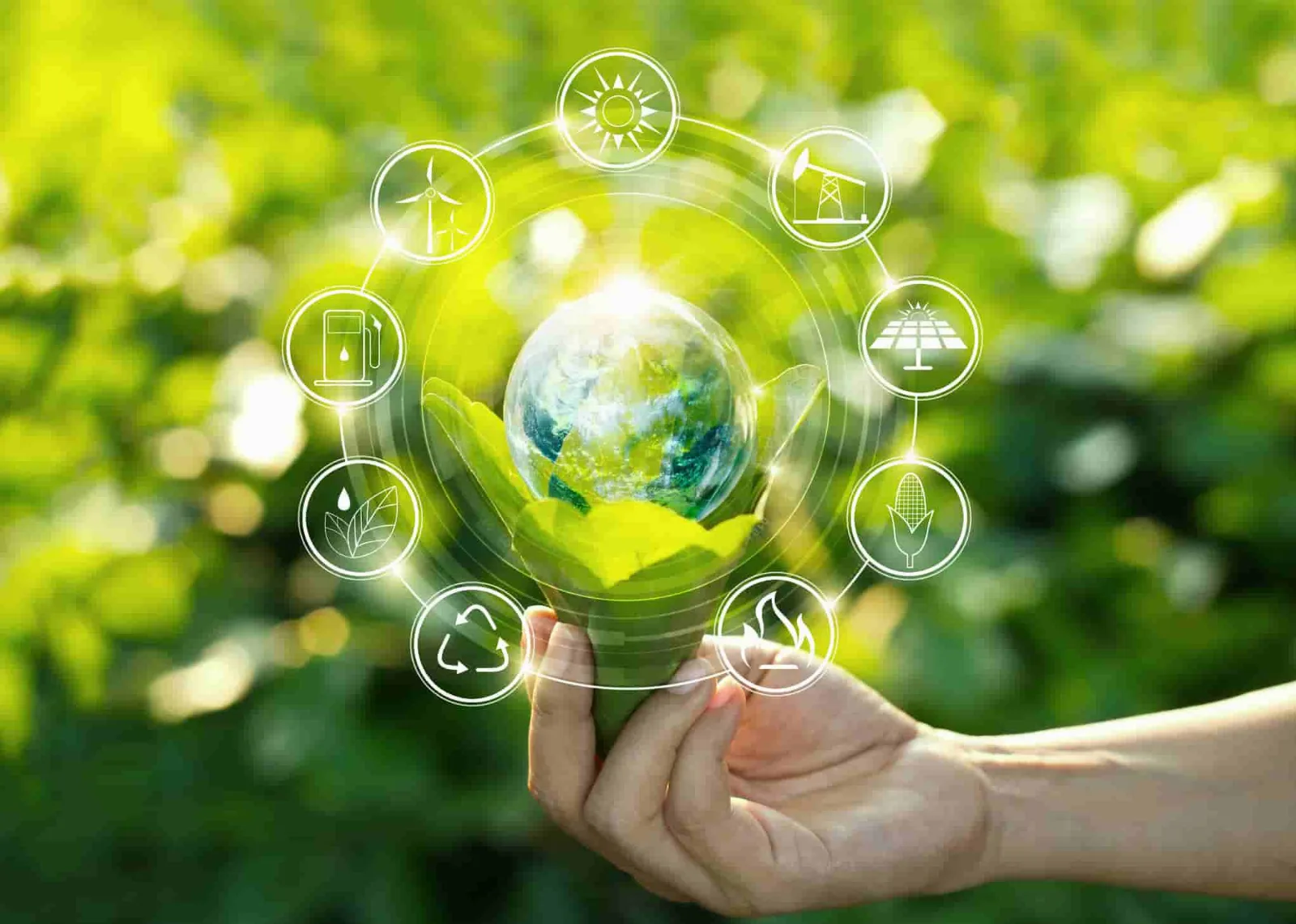 Los desafíos de la adaptación al cambio climático en las comunidades costeras.
