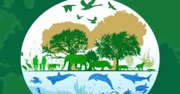 Los desafíos de la conservación de la fauna silvestre en entornos urbanos.